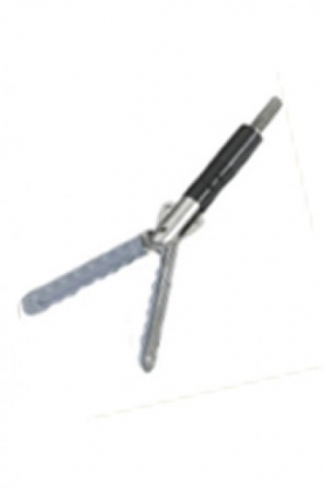 Shop Primary Image
