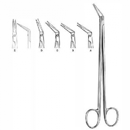 Shop Primary Image