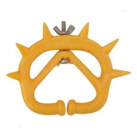 Shop Primary Image