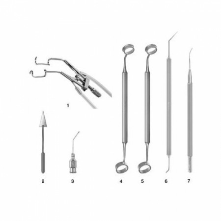 Shop Primary Image